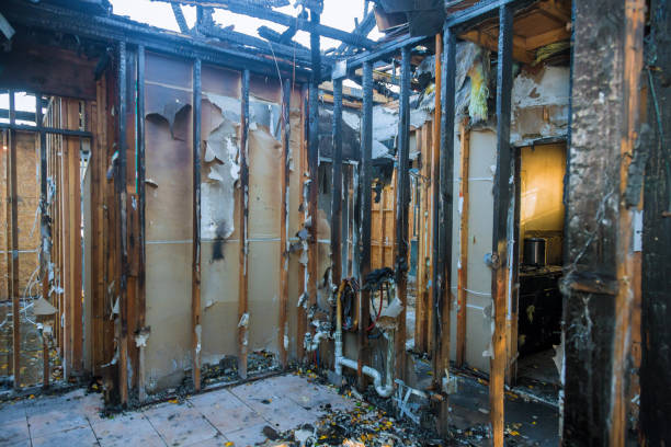 Professional Fire Damage Removal technician working in Deer Park, WI