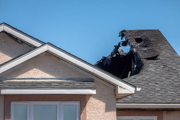 Top rated local Fire Damage Removal specialists in Deer Park, WI